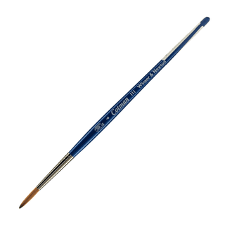 Winsor & Newton Cotman Brushes & Brush Series 111 Round 6