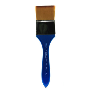 Winsor & Newton Cotman Brushes & Brush Wash 2