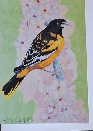 Oriole Blank Greeting Card