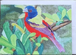 Painted Bunting Blank Greeting Card